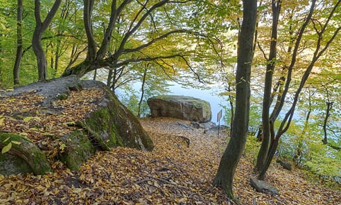 Віртуальний тур Стежка Коцюбинського